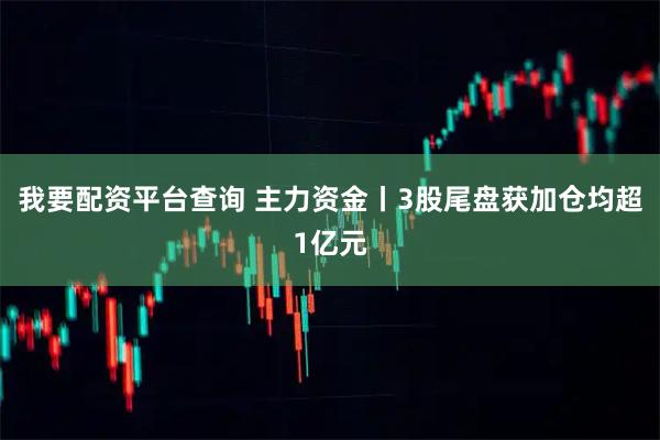 我要配资平台查询 主力资金丨3股尾盘获加仓均超1亿元