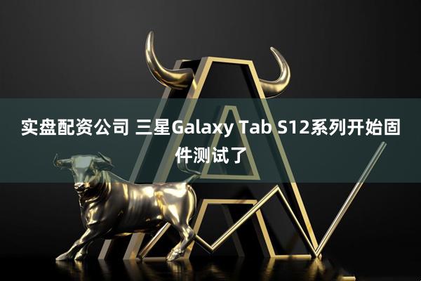 实盘配资公司 三星Galaxy Tab S12系列开始固件测试了